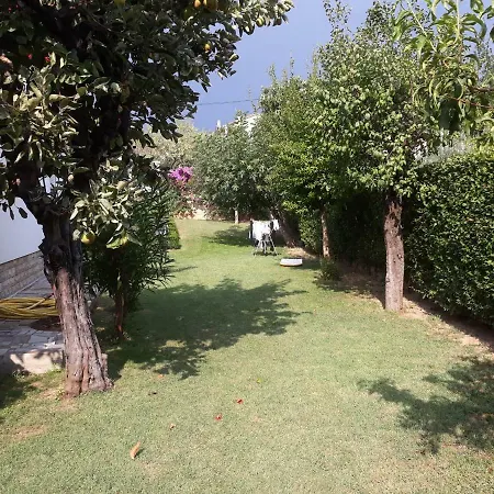 Aparmani Karolina Guest house